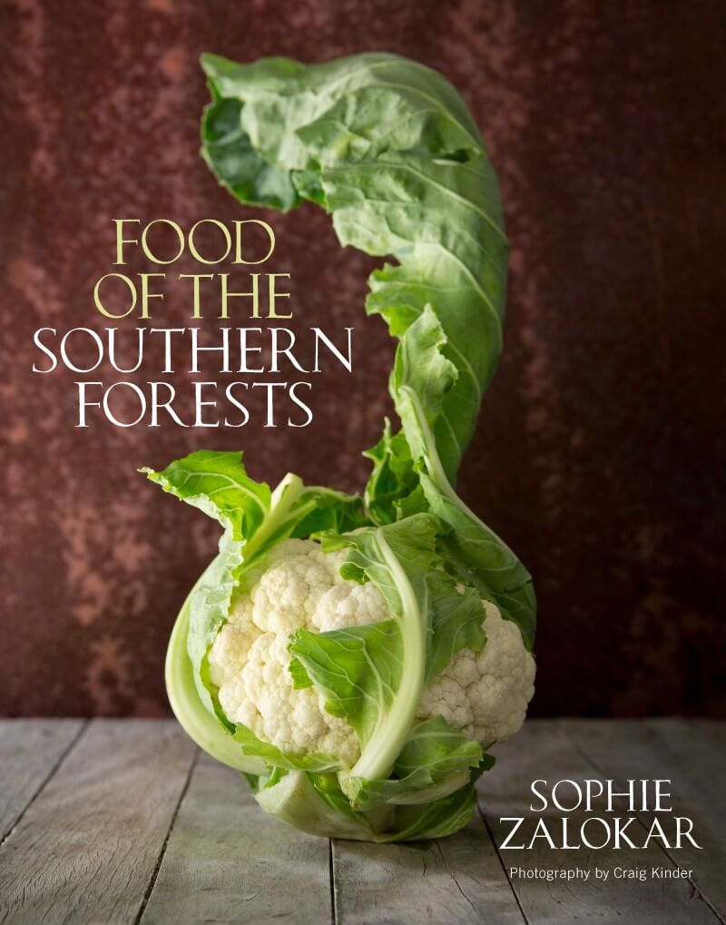 Food of the Southern Forests by Sophie Zalokar with Photography by Craig Kinder